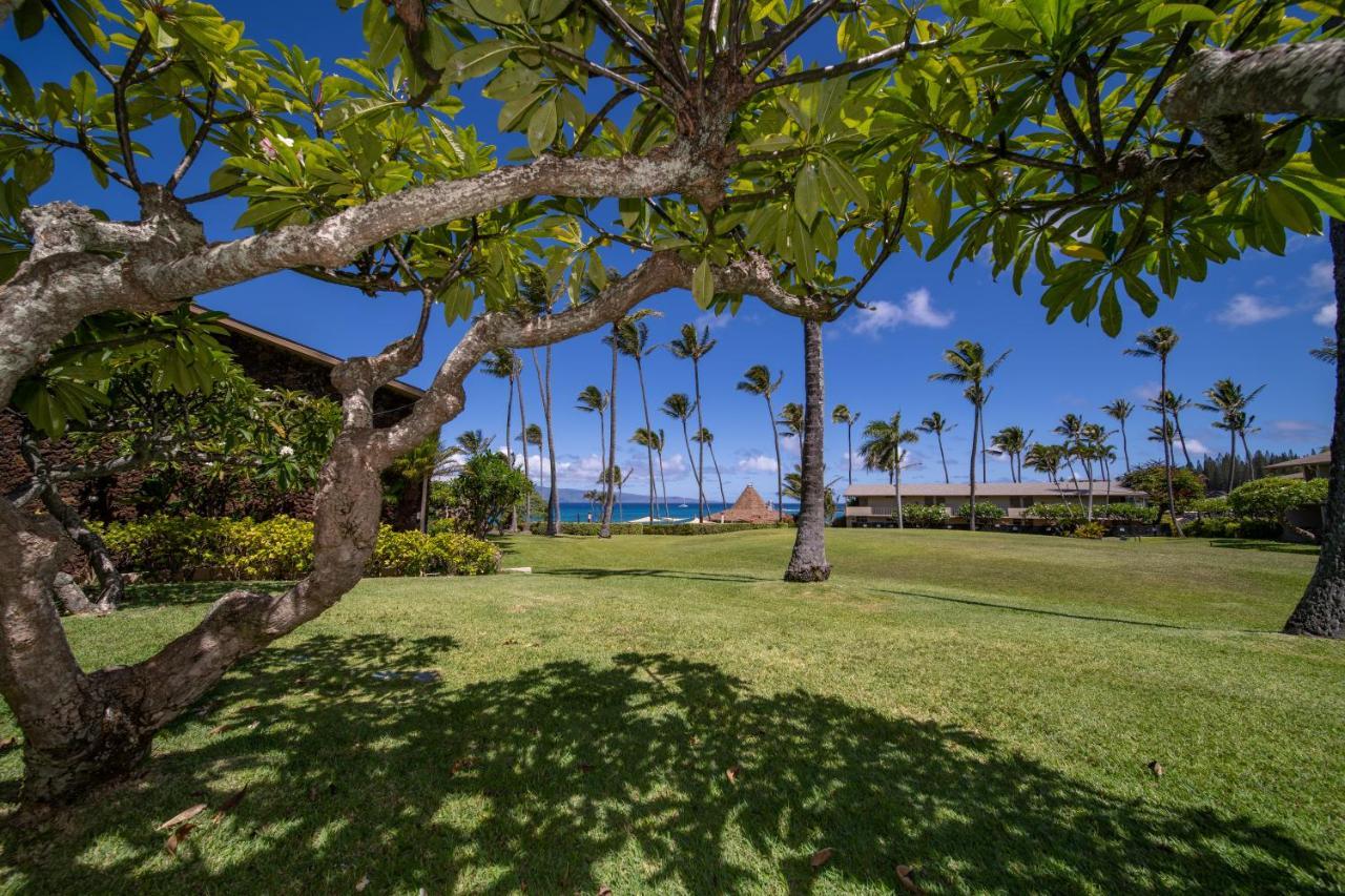 Napili Shores Maui By Outrigger - No Resort & Housekeeping Fees Lahaina Exteriör bild