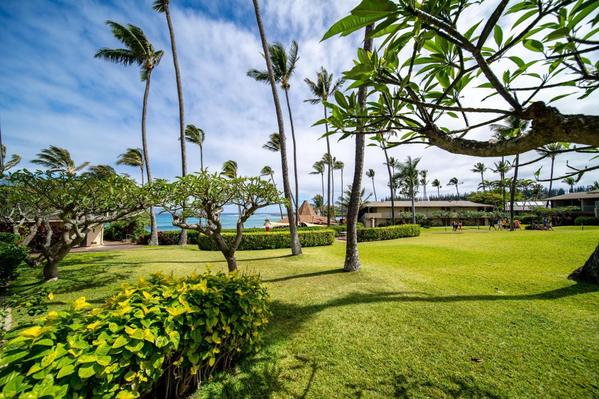 Napili Shores Maui By Outrigger - No Resort & Housekeeping Fees Lahaina Rum bild